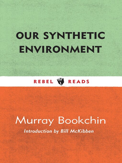 Cover image for Our Synthetic Environment